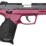 ruger-sr22-raspberry